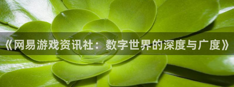 高德娱乐在线登录：《网易游戏资讯社：数字世界的深度与广度》