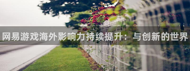 高德娱乐平台登录：网易游戏海外影响力持续提升：与创新的世界