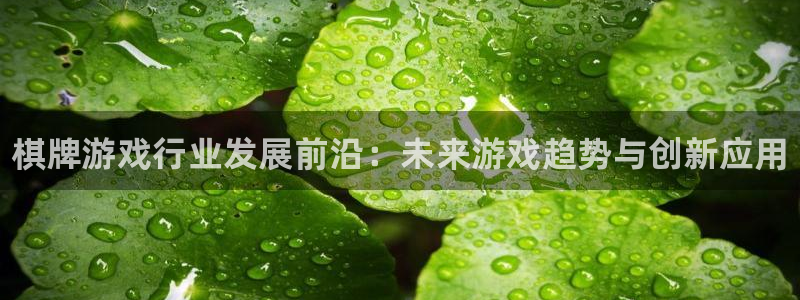 高德娱乐注册登录：棋牌游戏行业发展前沿：未来游戏趋势与创新应