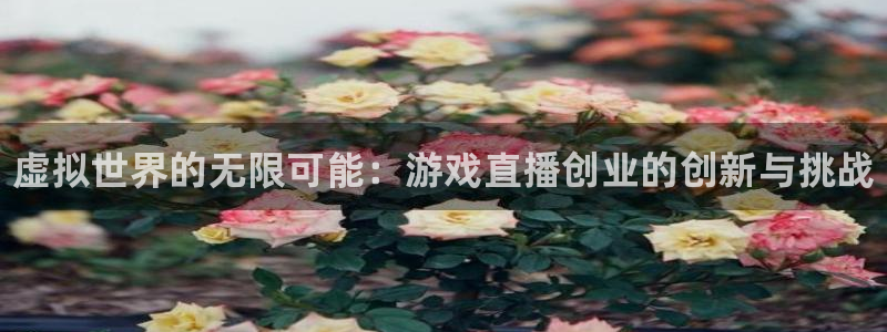 手机高德娱乐下载安装：虚拟世界的无限可能：游戏直播创业的创新