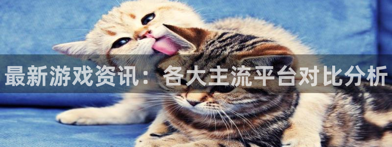 高德娱乐平台注册开户：最新游戏资讯：各大主流平台对比分析