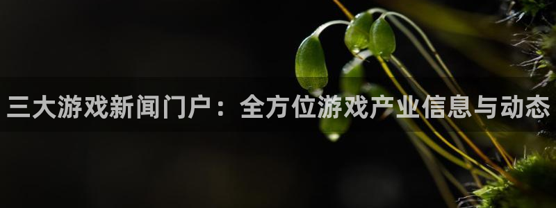 高德娱乐登录：三大游戏新闻门户：全方位游戏产业信息与动态